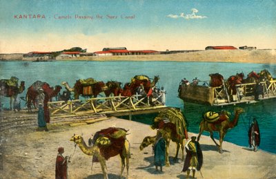 कांटारा - स्वेज नहर से गुजरने वाले ऊंट, c1918-c1939। द्वारा अज्ञात