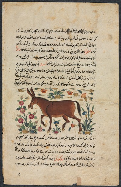 खार गधा, एक नुजहत-नाम-यई अलै उत्कृष्ट पुस्तक की वकील से ..., 1400। द्वारा अज्ञात