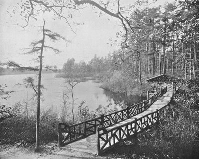 Kissing ब्रिज, Lakewood, न्यू जर्सी, संयुक्त राज्य अमेरिका, c1900। द्वारा अज्ञात