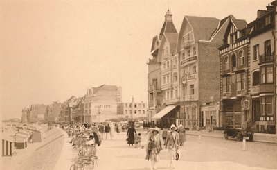 La Digue, The Promenade, c1900। द्वारा अज्ञात