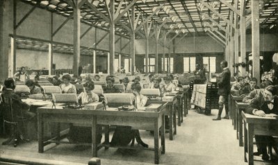 लेडी क्लर्क अमेरिकी जनगणना रिटर्न, 1901 का सारणीकरण करते हुए। द्वारा अज्ञात