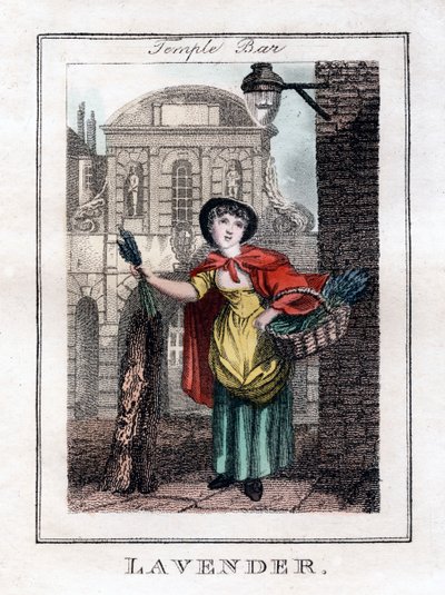 लैवेंडर, टेम्पल बार, लंदन, 1805 द्वारा अज्ञात