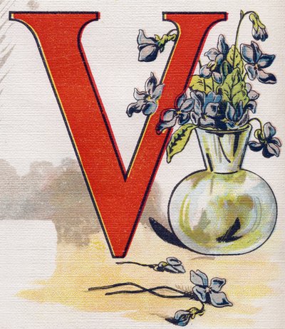 पत्र वी: वायलेट्स के साथ फूलदान। "ABC L'alphabet des bebes" में उत्कीर्णन। क्रोमोलिथोग्राफी में कैनवास पर अटूट मात्रा। ए कैपेंदु, संपादक, पेरिस। २०वीं सदी की शुरुआत में, १९०५ के आसपास। अंग्रेजी मूल की इमेजरी, इसके अनुरूप फ्रेंच में शब्दों के  द्वारा अज्ञात