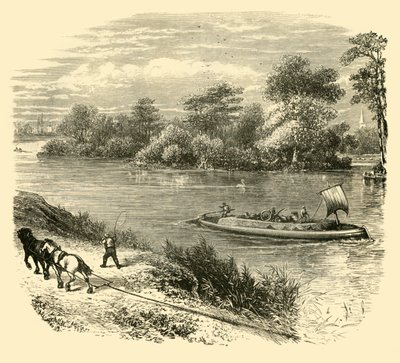 मैग्ना चर्टा द्वीप, 1890। द्वारा अज्ञात