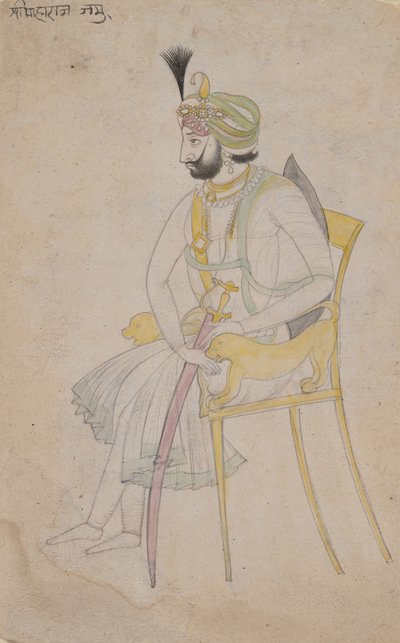 Maharaja Ranbir Singh, ca. 1860-80.  द्वारा अज्ञात