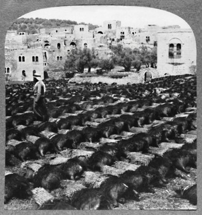 शराब की बोतलें बनाना, हेब्रोन, c1900 द्वारा अज्ञात