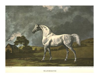 मैम्ब्रिनो, c1779, c1955। द्वारा अज्ञात