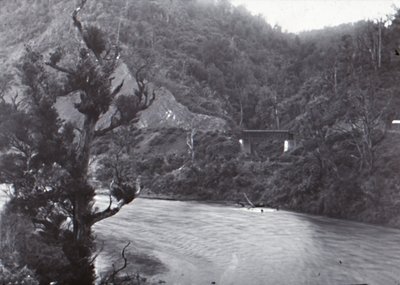 Manawatu Gorge, 19 वीं सदी के अंत में। द्वारा अज्ञात