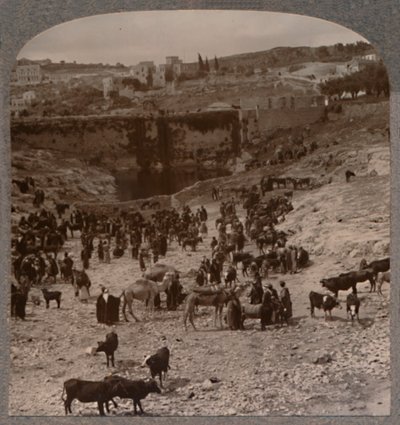 गिहोन के पूल में बाजार का दिन, c1900 द्वारा अज्ञात
