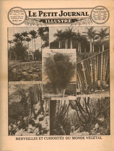 पौधे की दुनिया की चमत्कार और जिज्ञासा, 1931। द्वारा अज्ञात