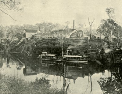 मीट वर्क्स, ग्राफटन के पास, न्यू साउथ वेल्स, 1901। द्वारा अज्ञात