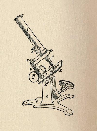 माइक्रोस्कोप, 1912 द्वारा अज्ञात
