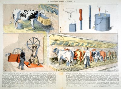 मिल्किंग पार्लर, थीस्ल सक्शन और पल्सेशन मिल्किंग मशीन, 1899 से सुसज्जित है द्वारा अज्ञात
