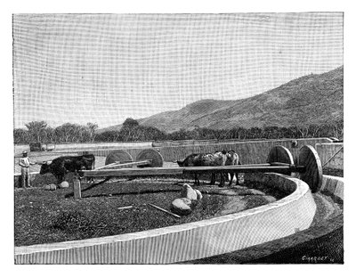 कॉफी पीने के लिए मिल, मध्य अमेरिका, c1890 द्वारा अज्ञात