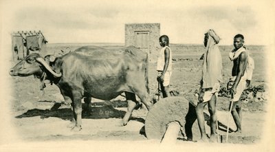 मिक्सिंग मोर्टार,। द्वारा अज्ञात