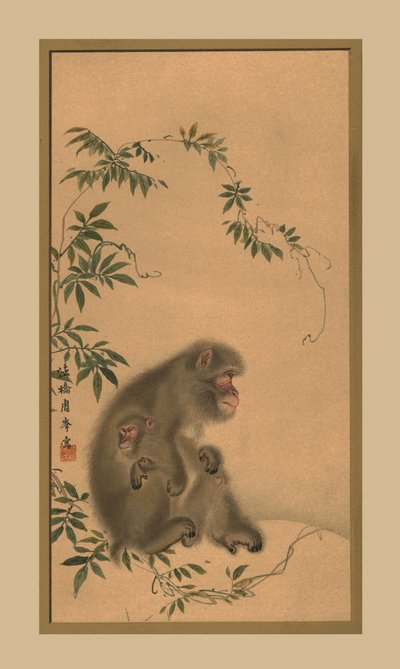 बंदर, 19 वीं सदी, 1886 द्वारा अज्ञात