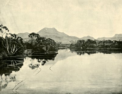 माउंट गॉल्ड, डू कैने रेंज, नार्सिसस नदी, लेक सेंट क्लेयर, 1901। द्वारा अज्ञात