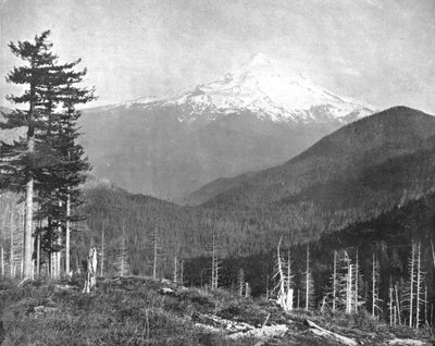 माउंट हूड, ओरेगन, संयुक्त राज्य अमेरिका, c1900। द्वारा अज्ञात
