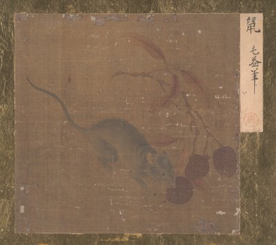 चूहा लीची का फल खा रहा है। द्वारा अज्ञात