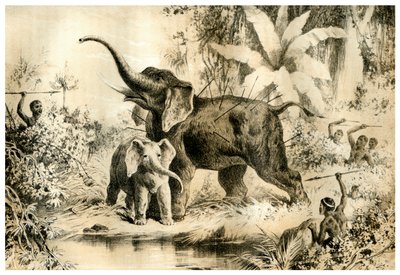 नेटिव स्पीयरिंग ए एलिफेंट, 1883 द्वारा अज्ञात