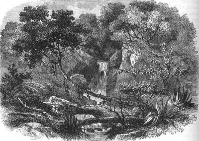 न्यूजीलैंड लैंडस्केप, c1880 द्वारा अज्ञात