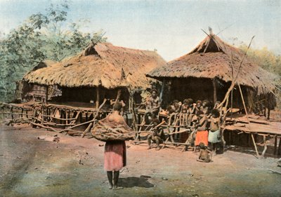 न्यू गिनी। Karapuna। स्वदेशी ग्राम, पापुआ न्यू गिनी। Karapuna। नेटिव विलेज, 1900। द्वारा अज्ञात