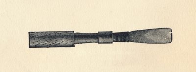 ओबे रीड, 1895। द्वारा अज्ञात