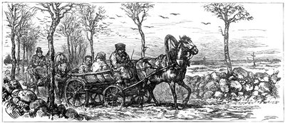 1882 में सेंट पीटर्सबर्ग, रूस के पास एक सड़क पर द्वारा अज्ञात