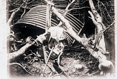चेमीन डेस डेम्स पर, उत्तरी फ्रांस, c1914-c1918 द्वारा अज्ञात