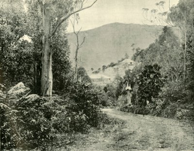 इलवारा रोड पर, एनएसडब्ल्यू, 1901। द्वारा अज्ञात