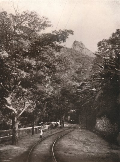 1914 को कोरकोरेडो के रास्ते में द्वारा अज्ञात