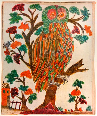 उल्लू, छापाखाना, 1800 द्वारा अज्ञात