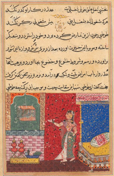 एक तोते की कहानियाँ टुटी-नाम से: पंद्रहवीं रात: तोता पत्ता खुजस्ता ..., 1558-176 द्वारा अज्ञात