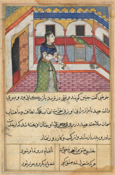 एक तोते की कहानियाँ टुटी-नाम से: चालीस-दूसरी रात: तोता पत्ता ..., सी। 1560। द्वारा अज्ञात