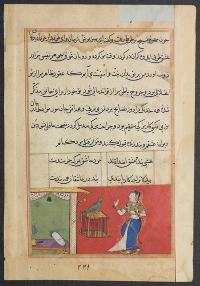 तोता-नामा के किस्से से पेज: चालीसवीं रात: तोता खुजस्ता को संबोधित करता है ... c156 द्वारा अज्ञात