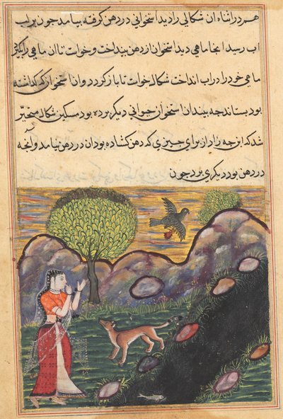 एक तोते की कहानियाँ टुटी-नाम से: सोलहवीं रात: बहू ..., सी। 1560। द्वारा अज्ञात