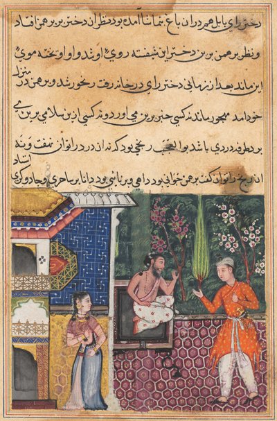 एक तोते की कहानियाँ टुटी-नाम से: तीसवीं रात: ब्राह्मण देता है ..., सी। 1560। द्वारा अज्ञात
