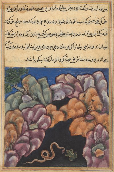 एक तोते की कहानियों से पेज टुटी-नामा: छब्बीसवीं रात: सांप घुस जाता है ..., सी। 1560। द्वारा अज्ञात