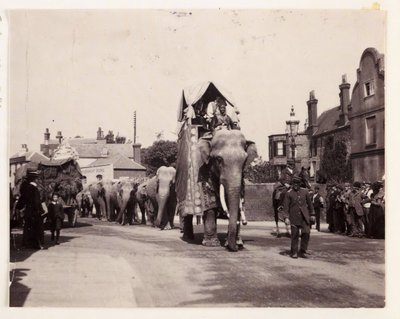 हाथियों की परेड, c 1905 द्वारा अज्ञात