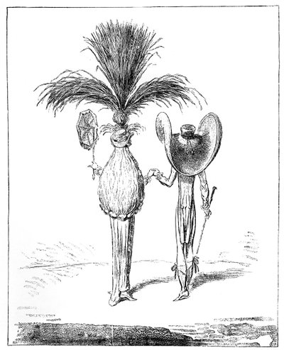 1795 के लिए पारसोल द्वारा अज्ञात