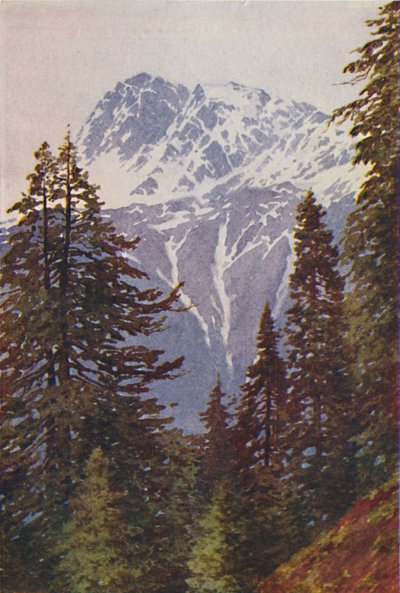 हिमालय में चोटी, 1924 द्वारा अज्ञात