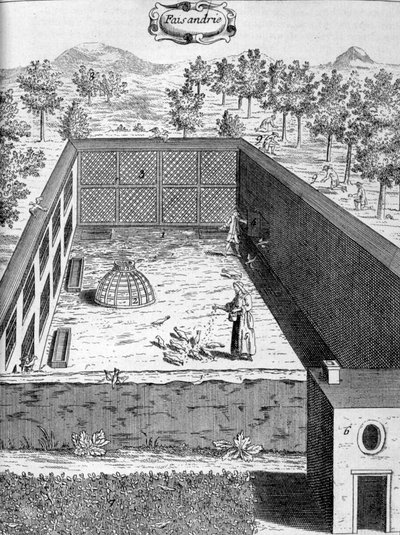 तीतर, 1775 द्वारा अज्ञात