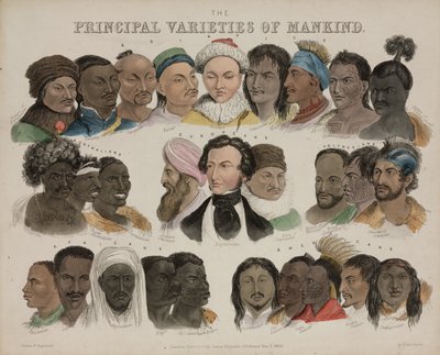 फिजियोलॉजी 'मैनकाइंड की प्रमुख किस्में', 3 मई 1850 द्वारा अज्ञात