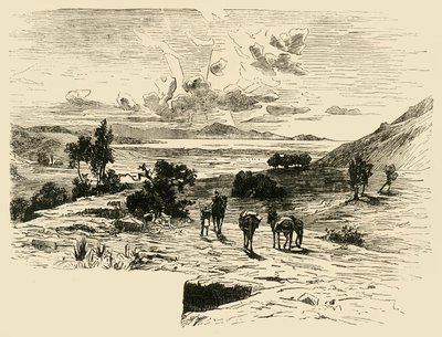 मैराथन का मैदान, 1890। द्वारा अज्ञात