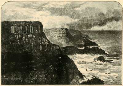 प्लिसकिन हेड, एरिक, 1898। द्वारा अज्ञात