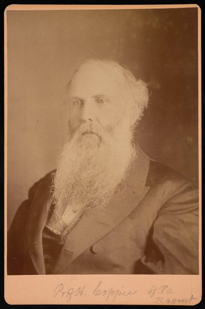 हेनरी कोप्पी का पोर्ट्रेट, 1821-1895, 1875। द्वारा अज्ञात