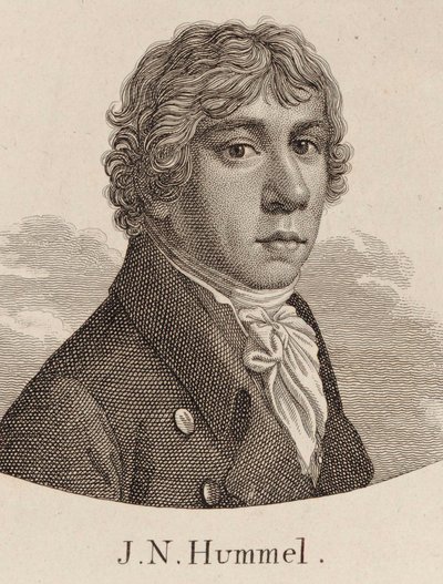 जोहान नेपोमुक विलेज का पोर्ट्रेट 1778-1837। द्वारा अज्ञात