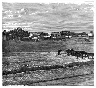 पोटचेफस्ट्रूम, द ट्रांसवाल, साउथ अफ्रीका, c1890 द्वारा अज्ञात