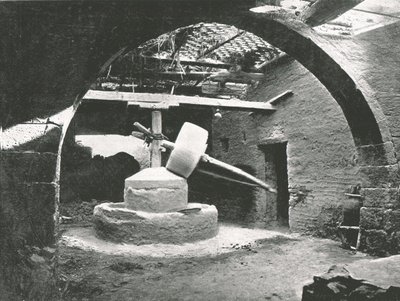 आदिम मकई-मिल, नील डेल्टा, मिस्र, 1895। द्वारा अज्ञात