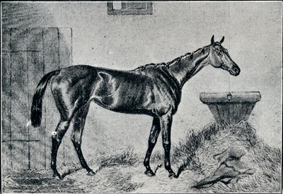 क्वीन बर्था, 19 वीं सदी, 1911 द्वारा अज्ञात